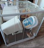 Tamme ratten kooi, Dieren en Toebehoren, Knaagdieren en Konijnen | Hokken en Kooien, Ophalen of Verzenden, Kooi, Rat