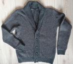 Vest Maat L WE, Kleding | Heren, Truien en Vesten, Maat 52/54 (L), WE, Ophalen of Verzenden, Zo goed als nieuw