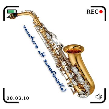 Gezocht Alt saxofonist(,e)