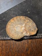 4cm Ammoniet Fossiel, Verzamelen, Ophalen of Verzenden, Fossiel