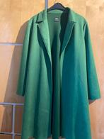 Groene Zara suède look jas - XL, Ophalen of Verzenden, Zo goed als nieuw, Maat 46/48 (XL) of groter, Groen