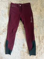 Cavallo rijbroek 36 bordeaux rot Calima Grip, Ophalen of Verzenden, Zo goed als nieuw, Dressuur, Onderkleding