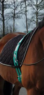 Longeer singel, Dieren en Toebehoren, Paarden en Pony's | Hoofdstellen en Tuigage, Ophalen of Verzenden, Gebruikt, Overige soorten
