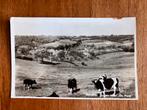 Slenaken. Gezien vanaf “De Plank”. 1957., Ophalen of Verzenden, 1940 tot 1960, Gelopen, Limburg