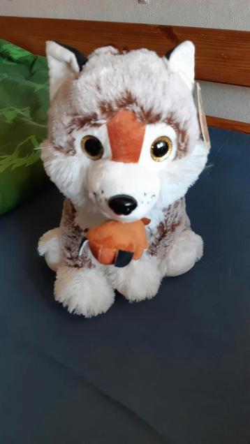 Knuffels  beschikbaar voor biedingen