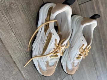 Steve madden sneakers  beschikbaar voor biedingen