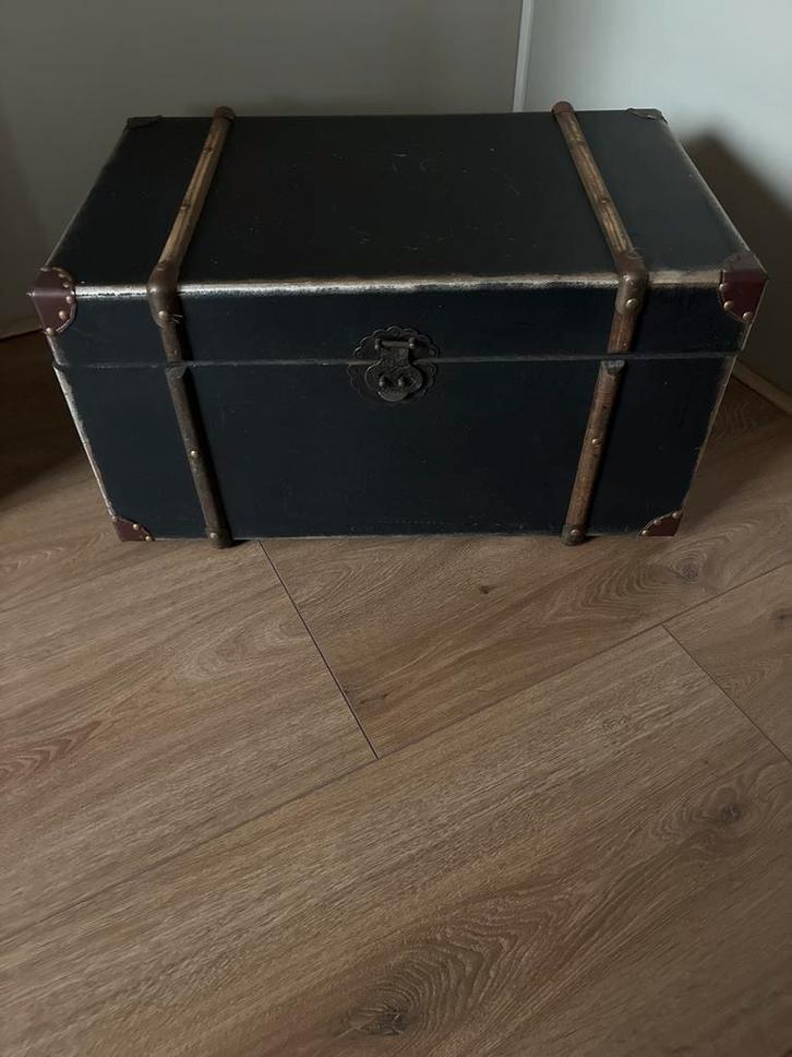 Speelgoedkist / Opbergkist met details, Huis en Inrichting, Woonaccessoires | Kisten, Gebruikt, Minder dan 50 cm, Metaal, Ophalen