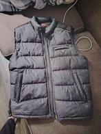Prada bodywarmer, Kleding | Heren, Bodywarmers, Ophalen of Verzenden, Prada, Gedragen, Maat 48/50 (M)