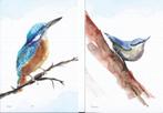 Boomklever-Ijsvogel en een Bastaartkikker etc., Verzenden, Ongelopen