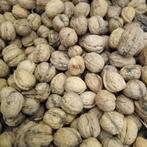 Walnoten afgelopen herfst, Ophalen of Verzenden