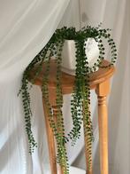 Vintage plantentafel eikenhout hoog, Ophalen of Verzenden, Zo goed als nieuw