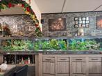 3 Juwel Aquariums met vissen en inhoud, Dieren en Toebehoren, Ophalen, Gevuld zoetwateraquarium