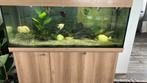 Aqwarium, Ophalen of Verzenden, Zo goed als nieuw, Filter of Co2