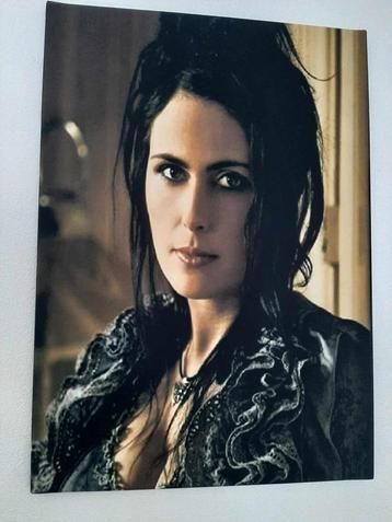 Canvas Sharon den Adel (Within Temptation)! beschikbaar voor biedingen