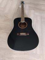 Wasburn D10SB Akoestische gitaar, Ophalen, Gebruikt