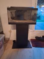 60 liter aquarium te koop inc meubel, Dieren en Toebehoren, Vissen | Aquaria en Toebehoren, Ophalen of Verzenden, Gebruikt, Leeg aquarium
