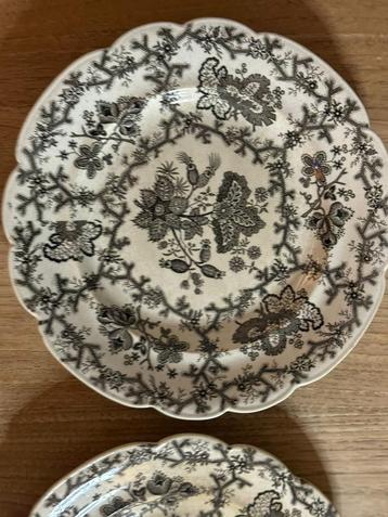Wedgewood coral border beschikbaar voor biedingen
