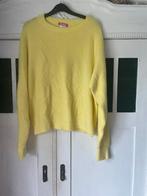 Alpaca Trui geel van Hip & Go, Ophalen of Verzenden, Nieuw