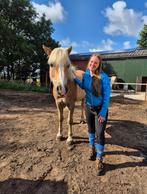 Verzorgpaard gezocht, Dieren en Toebehoren, Ophalen of Verzenden