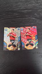 Bayer Leverkusen FANS panini fifa365 2026, Ophalen of Verzenden, Zo goed als nieuw, Plaatje