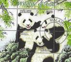 Panda's - Malawi 2011 - Gestempeld, Postzegels en Munten, Postzegels | Thematische zegels, Dier of Natuur, Verzenden, Gestempeld