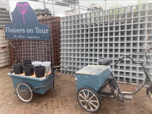 Elektrische driewieler met kar bloemenfiets met karakter!, Fietsen en Brommers, Fietsen | Driewielfietsen, Gebruikt, Ophalen