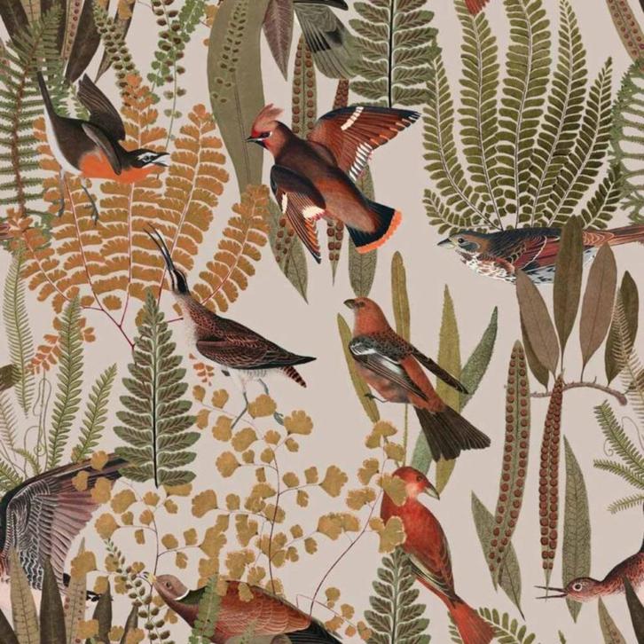 Kinderbehang Behang Vogels in de Jungle Dekornik, Kinderen en Baby's, Kinderkamer | Inrichting en Decoratie, Nieuw, Wanddecoratie
