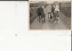 Maasland Laan van Zeestraten Meisjes met Pony s Foto, Ophalen of Verzenden, 1960 tot 1980, Ongelopen, Zuid-Holland