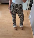 Costes flared legging panterprint S (ingekort 162cm), Kleding | Dames, Bruin, Ophalen of Verzenden, Zo goed als nieuw, Costes