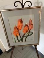 Schilderij Annie M Dommering Groningen, Ophalen of Verzenden