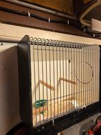 Tentoonstelling kooitjes 2x, Ophalen, Hout, Vogelkooi