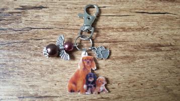 Tashanger Cavalier King Charles Spaniël beschermengeltje beschikbaar voor biedingen