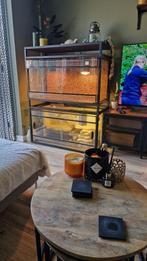 Dubbel terrarium incl meubel, Dieren en Toebehoren, Hagedis, Met terrarium, 3 tot 6 jaar
