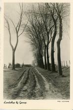 Gennep landschap bij, Ophalen of Verzenden, 1940 tot 1960, Ongelopen, Limburg