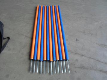 te koop aangeboden behendigheid / agility paaltjes slalom beschikbaar voor biedingen