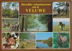 De veluwe ansichtkaart ( a698 ) gelopen, Ophalen of Verzenden, Gelopen