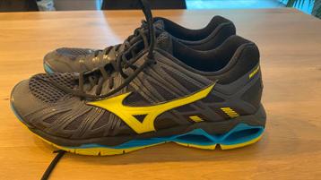 Mizuno zaalschoenen maat 48,5 beschikbaar voor biedingen