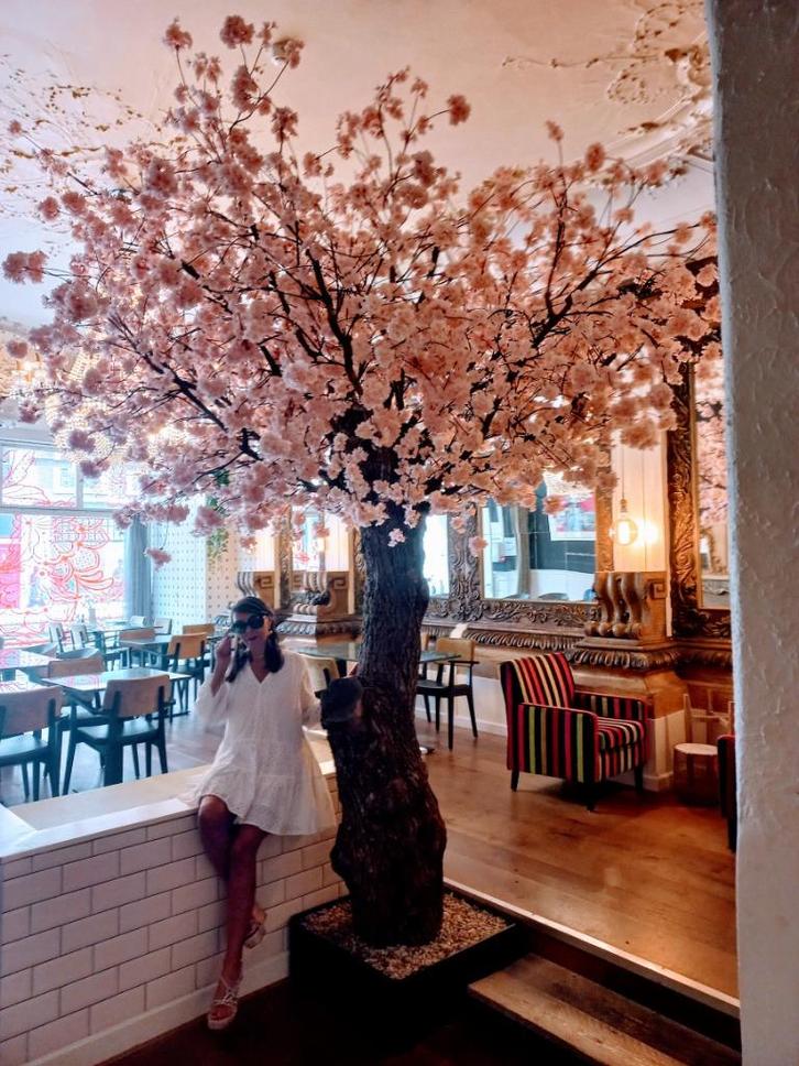 Kunstbomen Bloesem etc etc  de UNIEKE BOMEN MAKERS, Huis en Inrichting, Woonaccessoires | Kunstplanten en Kunstbloemen, Nieuw