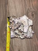 Aquarium steen decoratie, Ophalen, Plant(en), Steen of Hout