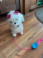 Wit goedwerkend loophondje, Ophalen, Zo goed als nieuw, Overige typen