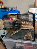 Twee hamster kooien met accesoires, Minder dan 60 cm, Kooi, Minder dan 75 cm, Ophalen of Verzenden