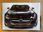 Delius Klasing Mercedes-Benz SLS AMG koffietafel boek 2010, Boeken, Zo goed als nieuw, Mercedes-Benz, Mercedes, Ophalen of Verzenden