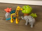 Duplo wilde dieren van Afrika (10971), Ophalen of Verzenden, Zo goed als nieuw, Duplo