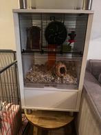 Omlet Qute hamsterkooi met opbergvak, Kooi, Minder dan 75 cm, Zo goed als nieuw, Hamster