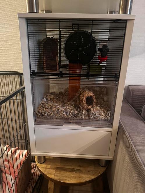 Omlet Qute hamsterkooi met opbergvak, Dieren en Toebehoren, Knaagdieren en Konijnen | Hokken en Kooien, Zo goed als nieuw, Kooi