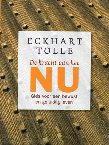 Tolle De kracht van het nu, De kracht van het nu in praktijk beschikbaar voor biedingen