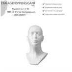 Presentatie Hoofden Piepschuim Etalagepoppengigant, ETALAGEPOPPENGIGANT.NL, Ophalen of Verzenden, Nieuw, One size fits all