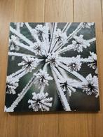 Kerst canvas met lichtjes, 50x50cm, Diversen, Kerst, Ophalen of Verzenden, Nieuw