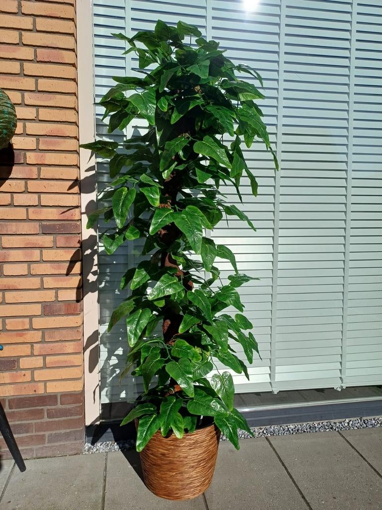 Decoratieve Kunstplant / Boom 190cm met Mand, Huis en Inrichting, Kamerplanten, Overige soorten, In pot, 150 tot 200 cm, Groene kamerplant