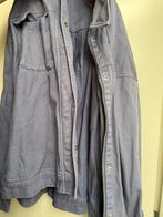 Jas tommy hilfiger m oversized lilla paars jasje, Ophalen of Verzenden, Zo goed als nieuw, Paars